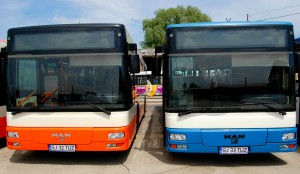 autobuz transurbis (1)