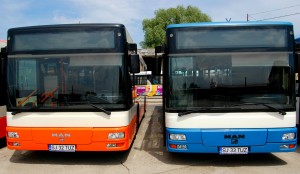 autobuz transurbis (1)