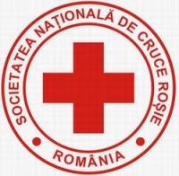 Actiuni multiple realizate de voluntarii Crucii Rosii in 2008