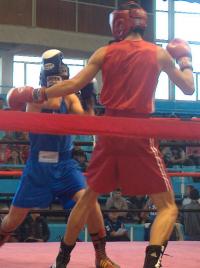 Pugilistii zalauani, castigatori la Cupa Martisor
