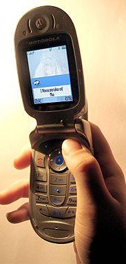 Castigatori ai fraudelor pe telefonul mobil 