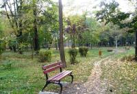 Parcul Tineretului - vandalizat 