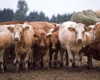 Cursuri pentru salajenii din mediul rural