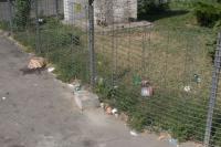 Amendati pentru ravasirea containerelor de gunoi 