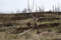 Cemacon construieste o casa pentru o familie din Ortelec