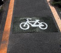 Malul Crasnei devine pista de role si biciclete 