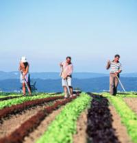 28 de proiecte de finantare pentru agricultura salajeana
