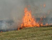 Pasunile Salajului - mistuite de incendii
