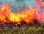 ISU trage un semnal de alarma in cazul incendierii pasunilor
