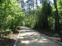Alei, podete si un administrator pentru Padurea-parc Bradet 