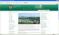 Si totusi, Cehu Silvaniei are site actualizat