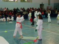 Cupa Salaj la karate shotokan