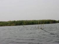 Peste 700 de metri de plasa ilegala de pescuit pe Varsolt