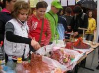 Festivalul Stiintei 2009 - incununat de succes