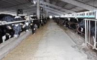 Cererile pentru platile complementare pot fi depuse pana in 15 iunie 