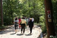 Traseele turistice de pe Meses astepta vizitatori
