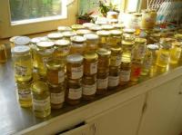 In Salaj: Record la productia de miere de salcam  
