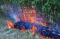 Incendiile la vegetatia uscata continua