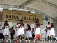 Satul salajean 2009