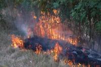 Intr-o luna, 16 incendii la vegetatia uscata