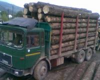 Decedat  sub rotile unui camion cu lemne