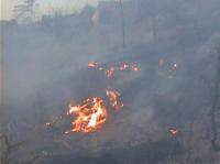 Doua hectare de teren, incendiate la Nusfalau