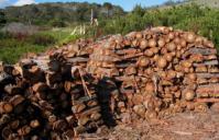 Ajutor financiar pentru incalzirea cu lemne