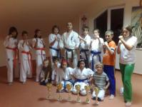 Sapte medalii pentru karateka de la CS Murmidon Zalau