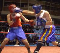 Pugilistii zalauani, pe podium la Gongul Bihorean