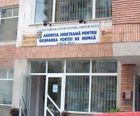 Servicii de autoservire in AJOFM Salaj
