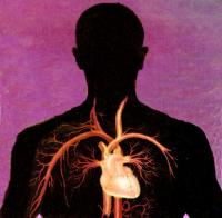 Peste 47.000 de afectiuni cardiovasculare in Salaj