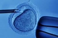 Din aceasta saptamana: Familiile fara copii se pot inscrie pentru fertilizare in vitro 