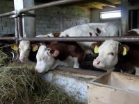 Agricultorii isi vor primi subventiile