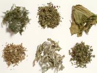 Politistii atrag atentia asupra drogurilor usoare, acum, ilegale