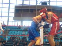 Pugilistii oradeni si baimareni se antreneaza la Zalau