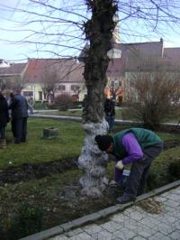 Zalaul, in curatenie de primavara