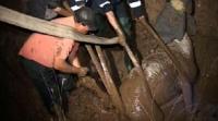 Cal salvat dintr-un canal colector, cu buldoexcavatorul 