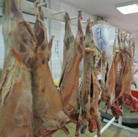 In Salaj vor fiinta trei puncte de sacrificare a mieilor