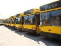 Cinci autobuze noi la Transurbis