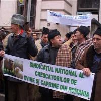 Ieri: Fermierii salajeni au protestat la Bucuresti 