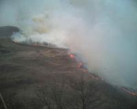 Arde Salajul!
