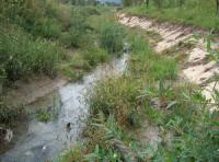 Agentii economici - luati la puricat de inspectorii Serviciului Corp Control 