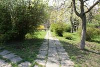 Parcul municipal - buda publica