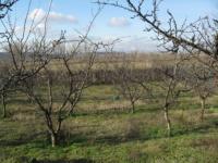 Buletin de avertizare