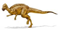 Salajul, taramul dinozaurilor pitici