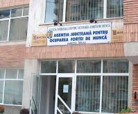 Rata somajului din Salaj, din nou in scadere
