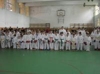 Salajenii au dominat Cupa Simleului la karate