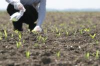 Peste 1.400 de fermieri salajeni suporta penalizari la sprijinul pe suprafata