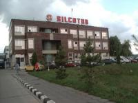 Cartel Alfa baga conducerea Silcotub la penal