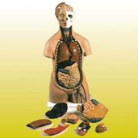 Racul de ponoare i-a adus locul intai la Sesiunea de Comunicari Stiintifice